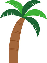 palm tree