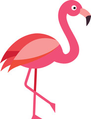 flamingo vector illustration