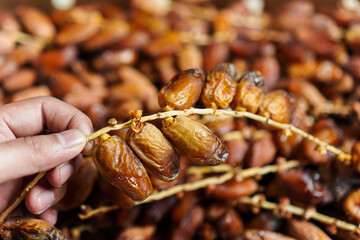 Captivating shot highlighting the rich, natural sweetness of fresh dates still on their branch, evoking thoughts of healthy indulgence and traditional treats. Ideal for culinary projects.