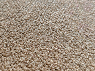 A close-up view reveals the intricate texture and warm beige tones of the dense carpeting, perfect for backgrounds and product staging. The soft, inviting surface adds depth and comfort.