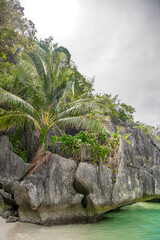 Idyllic landscape of the palm tree and the grey limestone cliffs against the blue sky in Coron, Palawan, Philippines