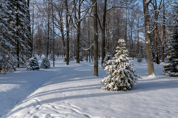 Peterhof Lower Park covered with snow on a sunny winter day, St. Petersburg, Russia