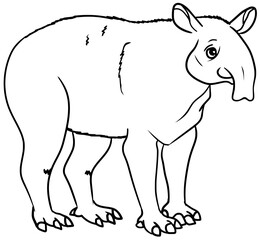 Baird's Tapir Line Art Outline Vector Drawing