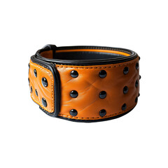 Stylish Orange and Black Leather Dog Collar with Studs