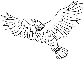 Bald Eagle Line Art Outline Vector Illustration