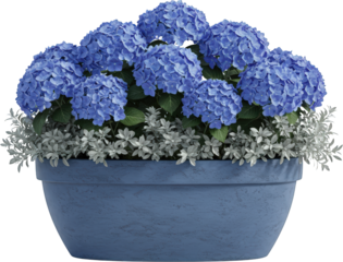 Lush Blue Hydrangea Planter Silver Foliage Oval Pot Garden Decor Spring Flowers