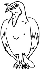 Bare-Throated Bellbird Outline Line Art Vector Illustration