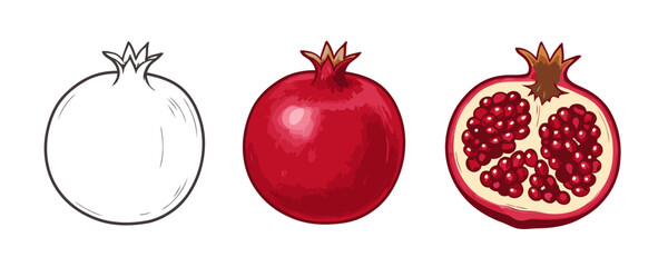 Three stylized illustrations of pomegranates: a black outline of a whole fruit, a full color drawing of a ripe pomegranate, and a detailed half-cut view of a single pomegranate revealing its red arils