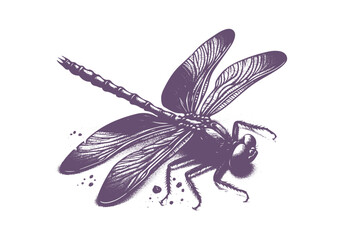 Dragonfly Detailed Hand Drawn Natural Illustration Vector Isolated by AZ for Books, Arts, Design and Decoration Graphic Asset