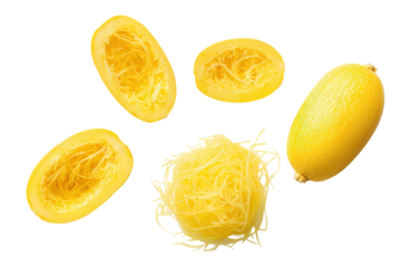 Green spaghetti squash half isolated on transparent background perfect for harvest-season infographic call-outs