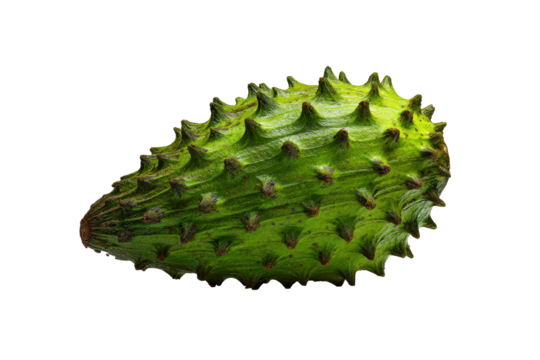 Half-peeled soursop showing pulp isolated on transparent background ideal for smoothie-bowl infographics and dessert ads