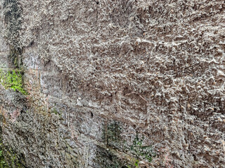 An aged stone surface showing natural textures and organic growth, with hints of green adding contrast. It is ideal for background or architectural elements; close-up reveals its intricate details.