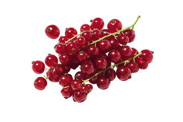 Aligned red-currant spheres pattern on transparent background ideal for festive greeting-card borders and cocktail-garnish charts