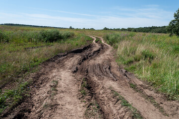 Winding dirt road across the green meadow, tire tracks in wet soil, spring time