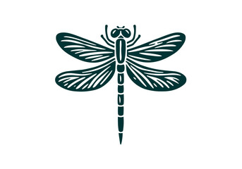 Dragonfly Hand Drawn Natural Illustration Stylized as Linocut Vector Isolated by AZ for Books, Arts, Design and Decoration Graphic Asset