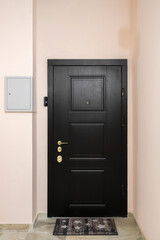 Apartment entrance door inside an apartment building