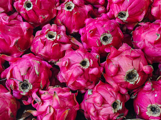 A vibrant and healthy display of red dragon fruits, piled high with a visually striking pattern,...