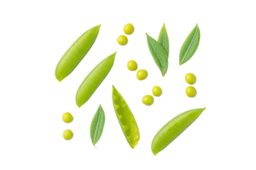 Neatly aligned individual peas on transparent background great for portion-control charts and kids’ recipe cards