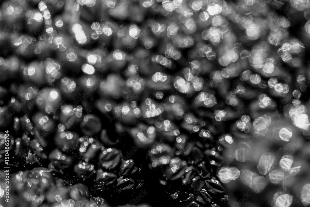 Poster a monochromatic abstract, showcasing a mesmerizing interplay of light and shadow, ideal for backgrou