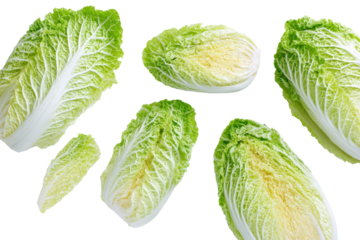 Organised green-napa shreds on transparent background perfect for ramen-topping charts