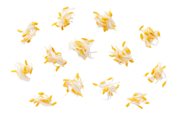 Organised sprout grid on transparent background perfect for salad-kit pattern mock-ups