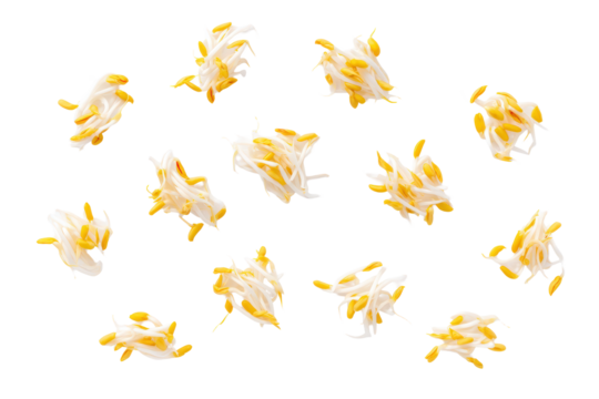 Organised sprout grid on transparent background perfect for salad-kit pattern mock-ups