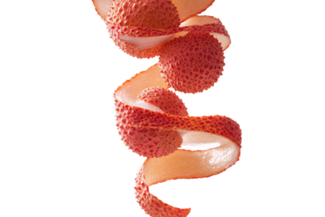 Alternative lychee spiral pose isolated on transparent background great for cocktail-garnish infographic visuals