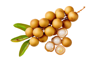 Uniform longan slices on transparent background great for cocktail-garnish charts and summer-drink labels
