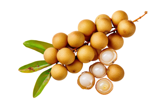 Uniform longan slices on transparent background great for cocktail-garnish charts and summer-drink labels