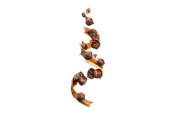 Obraz premium Alternate dark-juniper spiral pose isolated on transparent background ideal for gourmet spice-blend packaging imagery
