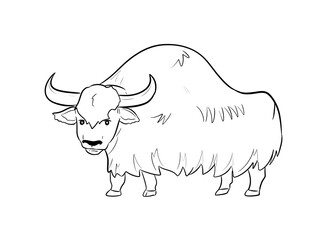 yak digital drawing illustration isolated