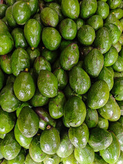 A vibrant pile of fresh avocados showcases nature's bounty. The close-up shot highlights their rich green color and smooth, glossy texture, perfect for healthy eating and lifestyle images.