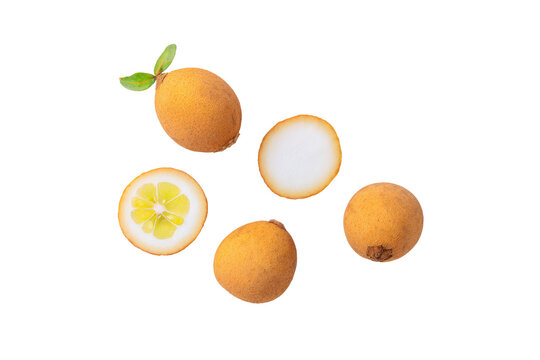 Whole ripe genipap fruit rich hue isolated on transparent background perfect for farmer-market flyers