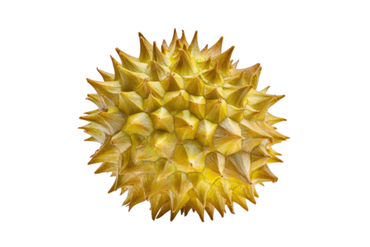 Durian spiral curl vividly lit, isolated on transparent background, perfect for bakery-filling labels and tropical market posters