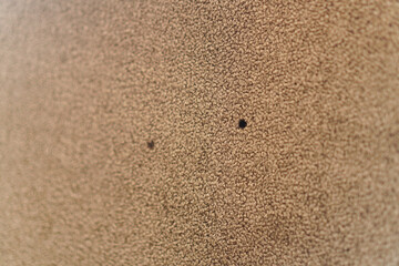 A textured backdrop with varied depths creates a tactile impression. The irregular pattern and warm color suggest natural materials and handcrafted quality, ideal for textural use or backgrounds.