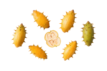 Symmetrical cecropia star pattern isolated on transparent background, excellent for culinary icon sets and tropical dessert visuals