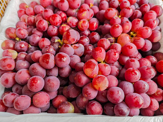 A vibrant collection of ripe, red grapes fills the frame, their smooth skins glistening invitingly, showcasing the natural beauty and freshness of these delightful fruits and evoking abundance.