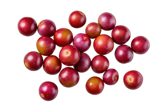 Glossy camu-camu halves isolated on transparent background, ideal for detox program flyers and rainforest diet blogs