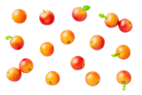 Symmetrical camu-camu pattern isolated on transparent background, excellent for cosmetic antioxidant charts and smoothie e-books