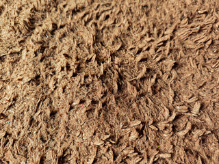 Close up view of Brown fur textures of densely packed natural fibers, suited for creative projects requiring warm earthy tones and organic pattern aesthetics.