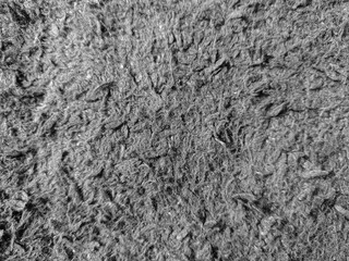 Monochrome detailed close-up of a textured surface reveals a woven and dense composition, ideal for...