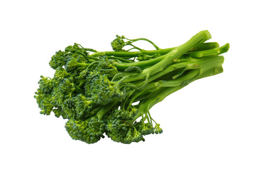 Symmetrical broccolini pattern isolated on transparent background, excellent for clean-eating recipe cards and salad branding