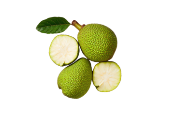 Detailed breadfruit slices isolated on transparent background, great for diet infographic icons and vegan dessert menus