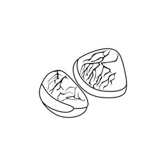 Kluwak (Pangium edule) vector illustration in outline styles. Known as football fruit, this spice is used in traditional Eid dishes. Editable EPS for design needs.