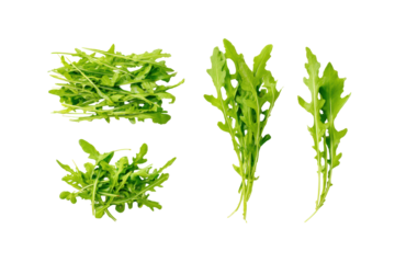 Vibrant arugula flat-lay isolated on transparent background, ideal for healthy lifestyle magazines and culinary posters