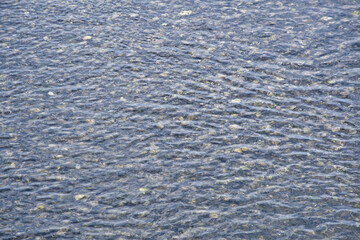 谷津干潟　ラムサール条約湿地 (ラムサール条約）コピースペースあり（日本千葉県習志野市）Yatsu-higata Tidal Flat (Yatsu Higata tidal flat) 　Ramsar Convention Wetlands (Ramsar Site) Copy space available (Narashino City, Chiba Prefecture, Japan)

