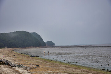 Misty Coastal Road and Countryside Landscape in Rural South Korea