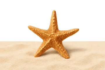 Golden starfish standing on a sandy beach, with a transparent background, perfect for summer and travel projects