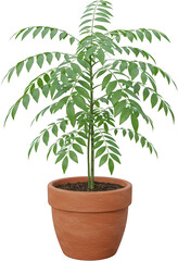 Fototapeta premium Lush Green Foliage Houseplant in Terracotta Pot Indoor Plant Greenery
