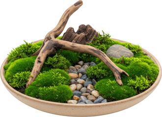 Fototapeta premium Serene Miniature Moss Garden Landscape with Driftwood and Stones